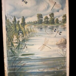 Opetustaulu v.1914 "Sudenkorento ja neidonkorento"